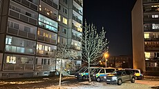 Pratí kriminalisté se zabývají okolnostmi úmrtí dvou lidí, kteí byli...