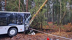 U Borohrádku narazil autobus do stromu. (24. ledna 2024)