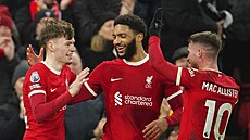 Conor Bradley (vlevo) slaví se spoluhrá�i z Liverpoolu sv�j gól proti Chelsea.