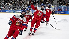 Ve finále s USA čeští hokejisté neuspěli, i tak ale mohou míz ze zisku...
