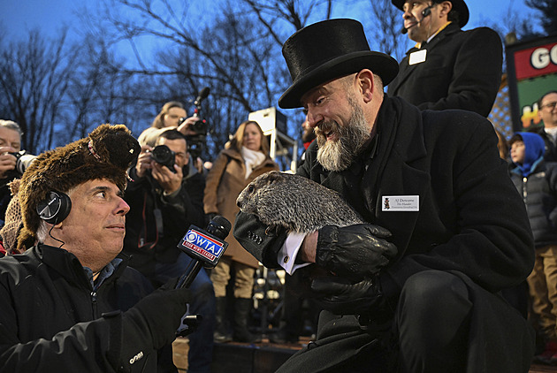 Věříte svišti Philovi? Chyba. Hlodavec z Punxsutawney je špatný prognostik