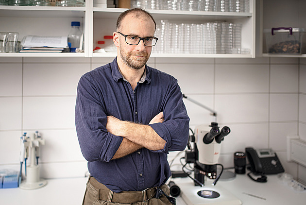 Mravenci jsou motorem evoluce, říká odborník Pech. Přežijí i dobu ledovou