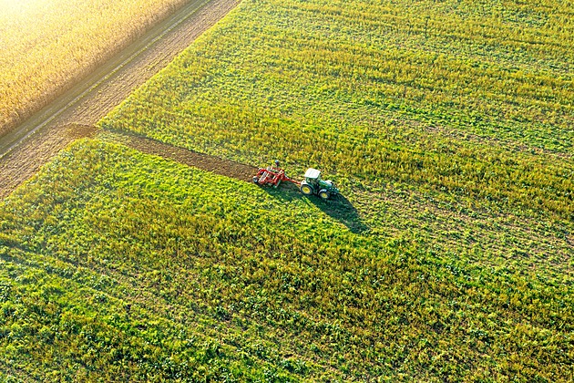 Ukládání uhlíku do půdy farmáře láká. Zkoušejí i sázení stromů na orné půdě