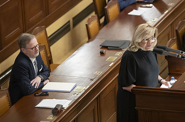 Zbytečná schůze. Premiér nic neudělal, možná „jen“ bílého koně
