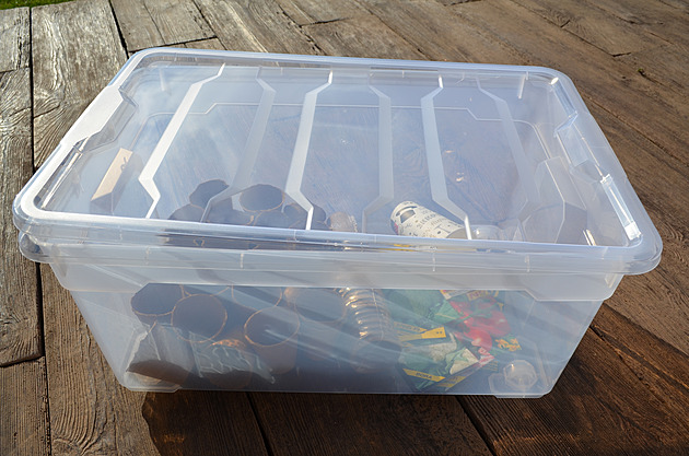 Pěstování chilli od A do Z: Dnes zasejete a v létě už budete sklízet