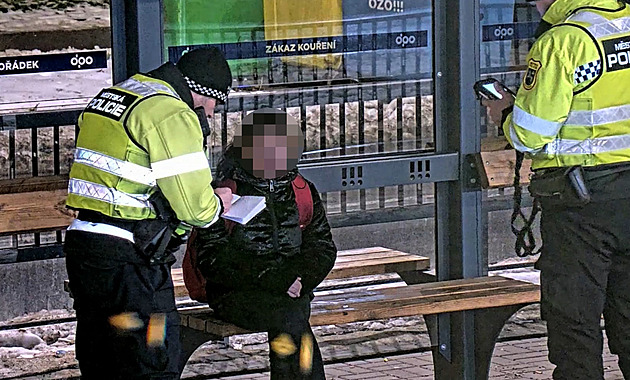 Severomoravští policisté hlásí rekord. Polovinu případů dokázali objasnit