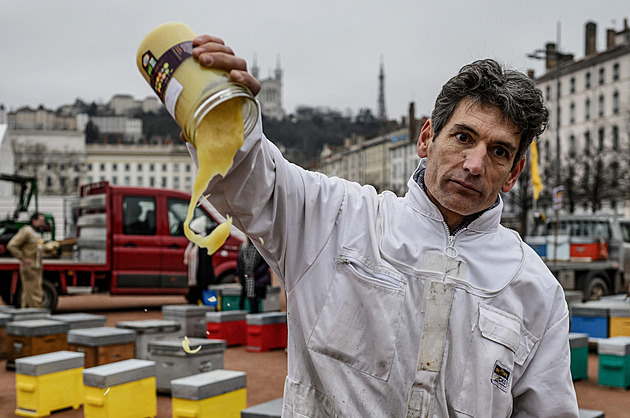 Ve Francii protestují už i včelaři, vadí jim „nekvalitní“ a levnější dovoz