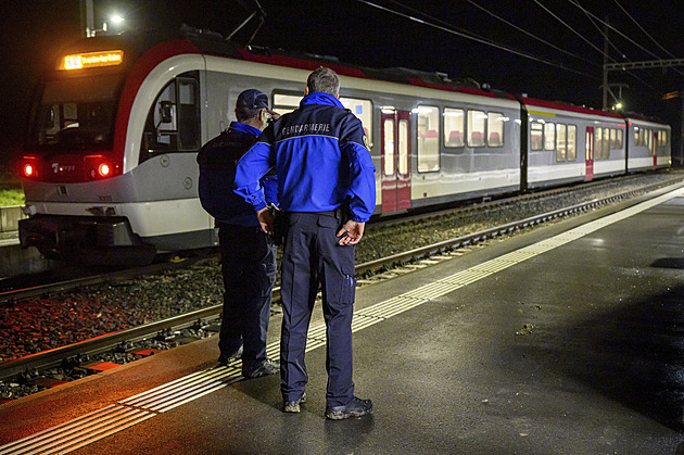 Žadatel o azyl se sekerou zajal lidi ve švýcarském vlaku. Policisté ho zastřelili