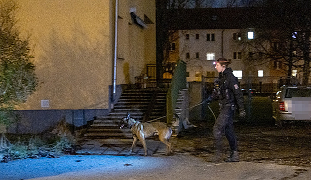 Policie navrhla obžalovat muže za znásilnění ženy, která čekala na dítě u školy