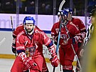 eský hokejový útoník Martin Rika (27) vstelil první gól v národním týmu...