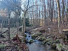 Libsk potok dnes tee kolem skldky. Pokud dojde k jejmu rozen, bude...