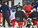 Trénink eské hokejové reprezentace na védské hry,  Trenér Radim Rulík udílí...