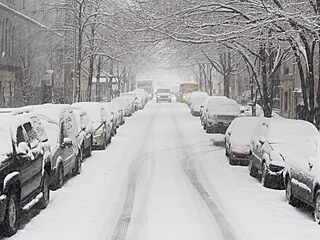 To není mrazivý sever Kanady, ale do�ista oby�ejná zima v New Yorku. A u� to je...