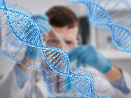 ilustra�ní snímek