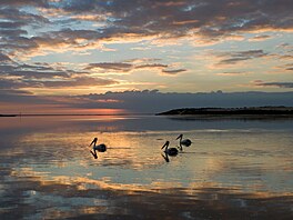 Druhá nejv�t�í plá� sv�ta le�í na jihu Austrálie. Jmenuje se Coorong a p�iléhá...