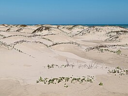 Do �eb�í�ku nejdel�ích plá�í sv�ta se cht�jí zapsat i v USA. Jejich 106...