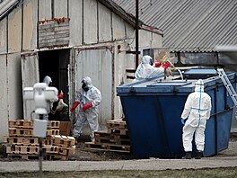 První kachny putovaly do kontejneru krátce ped polednem.