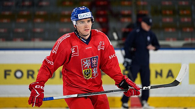 Libor H�jek v pond�l� absolvoval prvn� reprezenta�n� tr�nink pod Radimem Rul�kem.