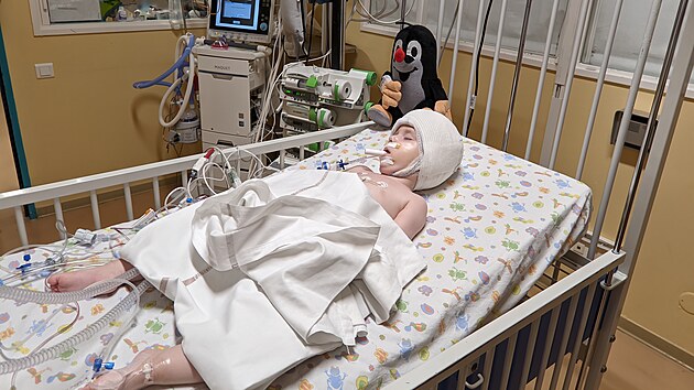 Martnek v nemocnici ve francouzskm Montpellier, kde spn podstoupil desetihodinovou operaci (1. nora 2024)