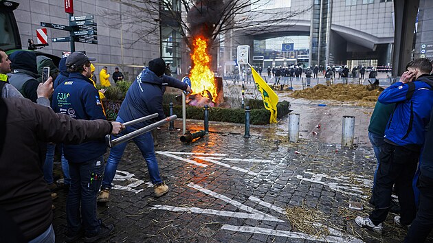 Zemdlci v Bruselu protestuj proti politice EU v oblasti ivotnho prosted a dovozu levnch potravin. (1. nora 2024)