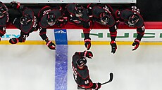 Martin Ne�as z Caroliny oslavuje gól se spoluhrá�i.