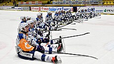 Hokejisté Komety Brno oslavují výhru v Litvínově.