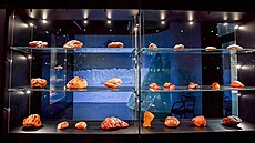 Muzeum jantaru v Gdasku vystavuje pes tisíc exponát.