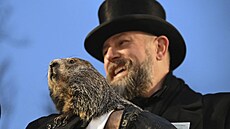 Svi Phil z pensylvánského msteka Punxsutawney  po oputní nory nespatil...