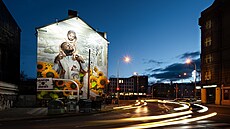 Mural bude na And�lu k vid�ní je�t� 14 m�síc�.