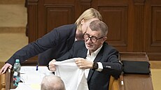 Ministryn obrany Jana ernochová vnovala bývalému premiérovi Andreji Babiovi...