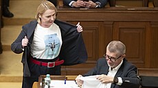 Ministryn obrany Jana ernochová vnovala bývalému premiérovi Andreji Babiovi...