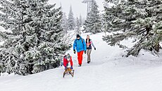 N�kte�í turisté plánují sjet Sn�ku na saních. (2. 2. 2024)