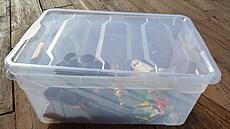 Pr�hledný plastový box je pro p�edp�stovávání semínek praktický svou velikostí...