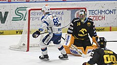 Stephen Moses z Komety Brno p�ekonává litvínovského branká�e �imona Zají�ka.