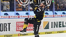 Litvínovský úto�ník David Ka�e slaví gól v zápase s  Kometou Brno.