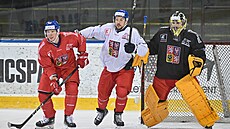 Trénink eské hokejové reprezentace na védské hry. Zleva obránce Jan Koálek,...