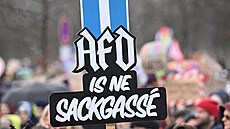 Demonstrace proti pravicovmu extremismu a nenvisti v Berln (3. nora 2024)