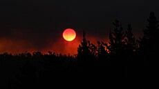 Bilance lesních po�ár� v centrální �ásti Chile vzrostla na 64 mrtvých, oznámil...