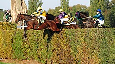 Momentka z Velké pardubické 2015, které se zú�astnil i polský �okej Dominik...
