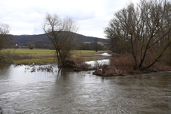 Rozvodnná eka Morava mezi Zábehem a Lesnicí na umpersku. (12. února 2024)