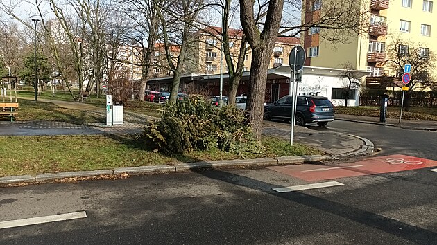 Stromky patí k popelnicím ne na chodník!!  