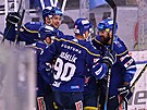 Hokejisté eských Budjovic se radují po vsteleném gólu.