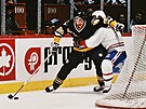 Hokejový úto�ník Jaromír Jágr z Pittsburghu (68) svádí souboj za brankou v...