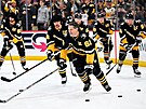 Hokejový úto�ník Jaromír Jágr vyrazil na rozbruslení s hrá�i Pittsburghu po...