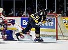 �eský úto�ník Jaromír Jágr v dresu Pittsburghu