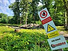 M�sto posledn�ho �seku lesn�ho okruhu v hradeck�ch les�ch vede okrajem lesa jen...