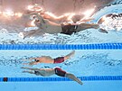 Japonec Nao Horomura (nahoe) a eský plavec Ondej Gemov v rozplavb na 200...