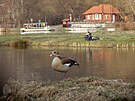 Skoro jarní Libice nad Vltavou