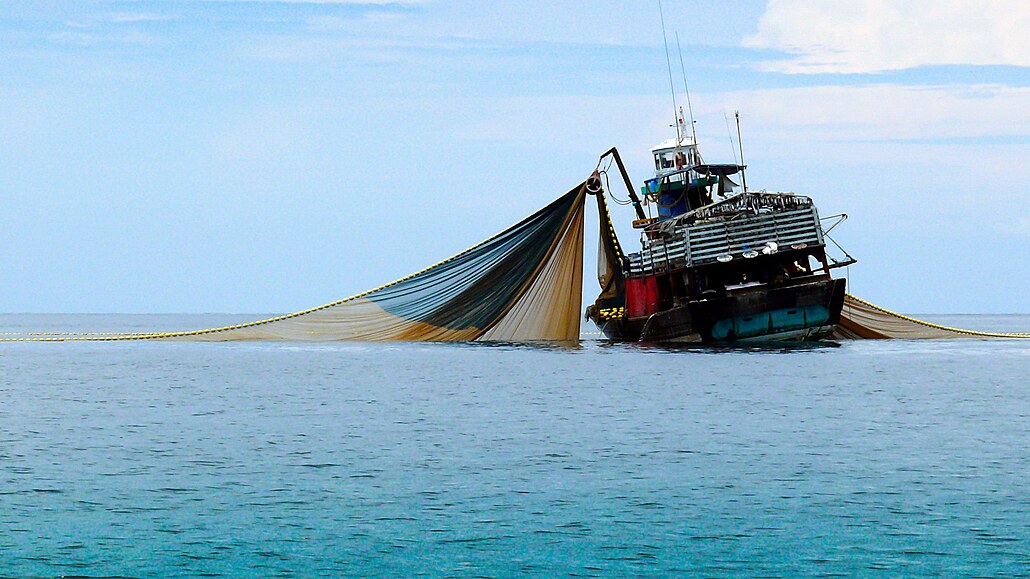 Vtinu ryb vyloví v Baltu obí lod svtových firem.