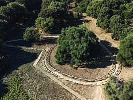 Prbn tetí je tisíciletý olivovník z Lurasu v Itálii (k 15. 2. 8 812 hlas).